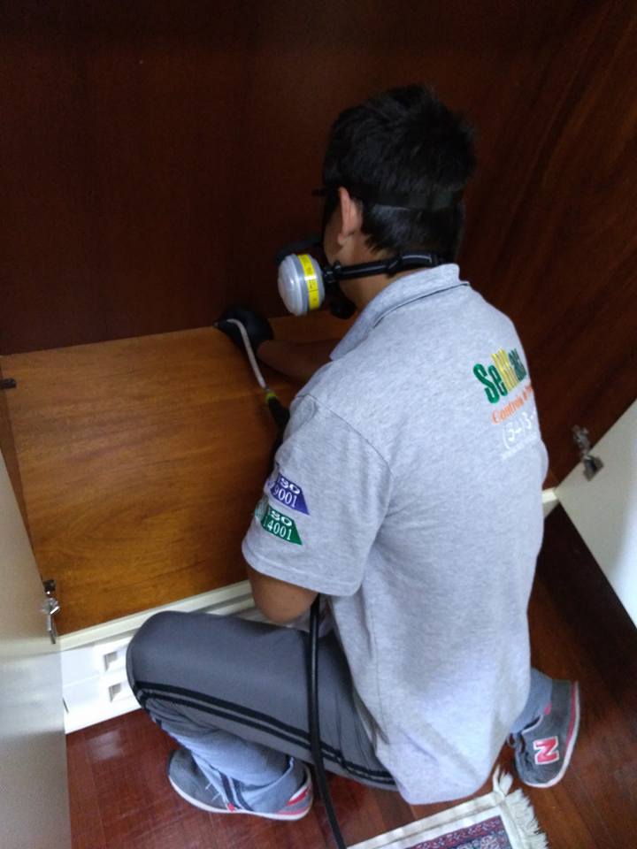 Aplicação interna